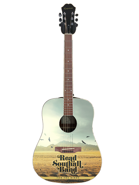 For The Birds Guitar